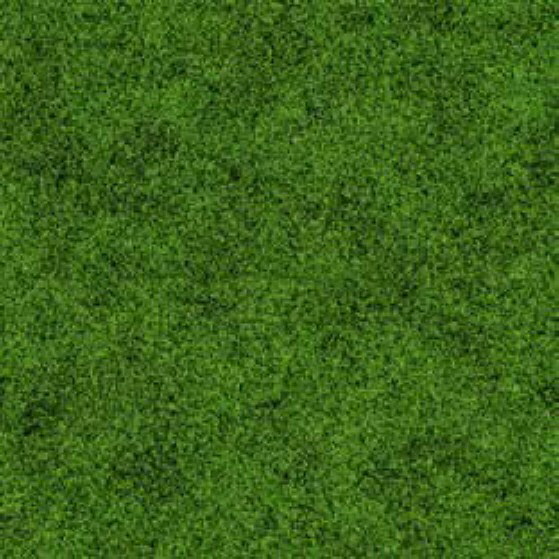 Standard-Designs in Optiken in Rasen grün